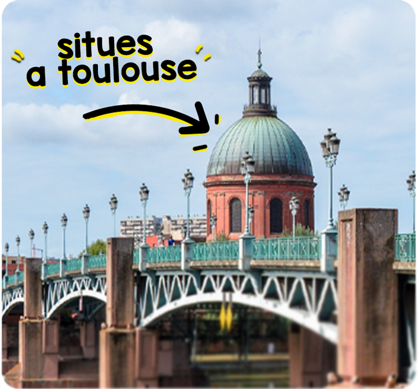 Montage Toulouse et ses alentours